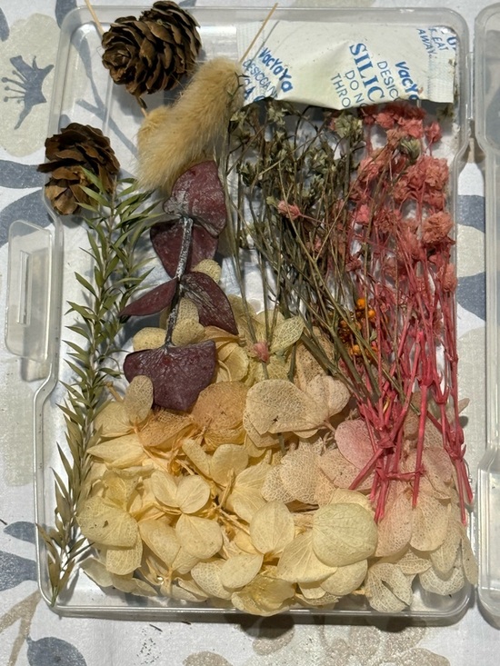 Other - Dried Flower Mix - Pale Yellow Hydrangea & Pink Accents